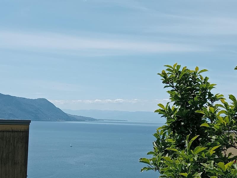 Appartement en rez avec vaste terrasse panoramique à Montreux (5)