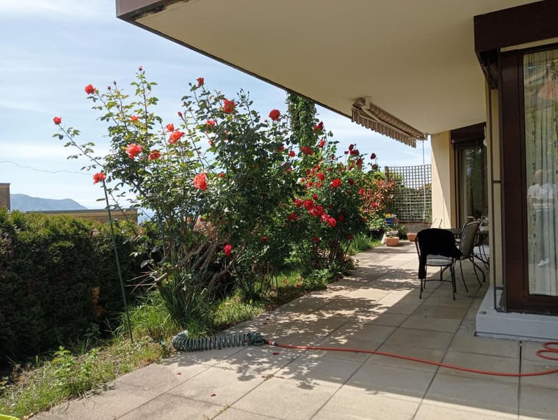 Appartement en rez avec vaste terrasse panoramique à Montreux (3)
