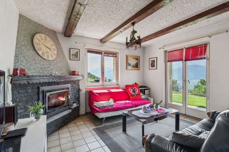 Chalet avec grand terrain, vue sur les Alpes et calme absolu (6)
