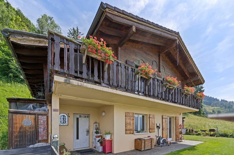 Chalet avec grand terrain, vue sur les Alpes et calme absolu (9)