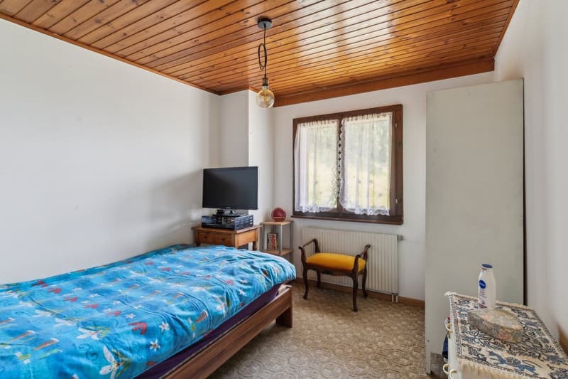 Chalet avec grand terrain, vue sur les Alpes et calme absolu (7)