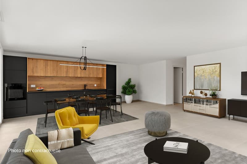 Appartement de standing avec terrasse à Neuchâtel (2)