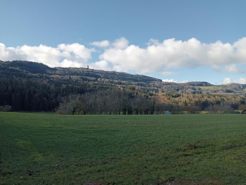 Villa individuelle 5 pièces (4)