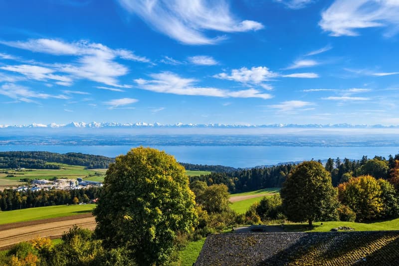 Havre de tranquillité verdoyant avec vue panoramique sur le lac de Neuchâtel (2)