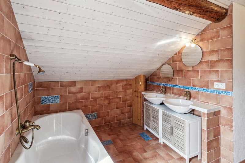 Superbe attique-duplex rénové avec caractère et authenticité (7)