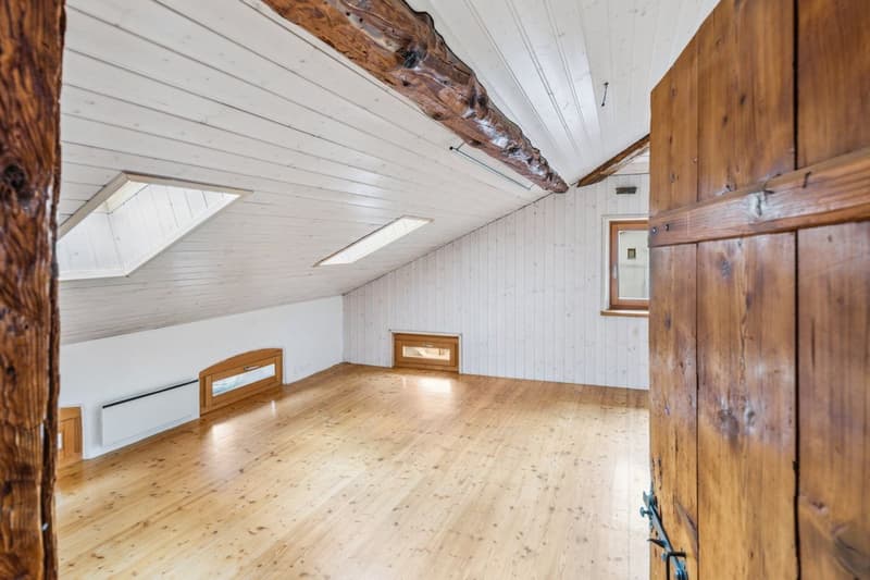 Superbe attique-duplex rénové avec caractère et authenticité (6)