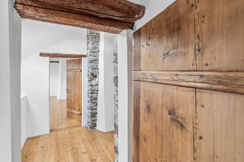 Superbe attique-duplex rénové avec caractère et authenticité (4)