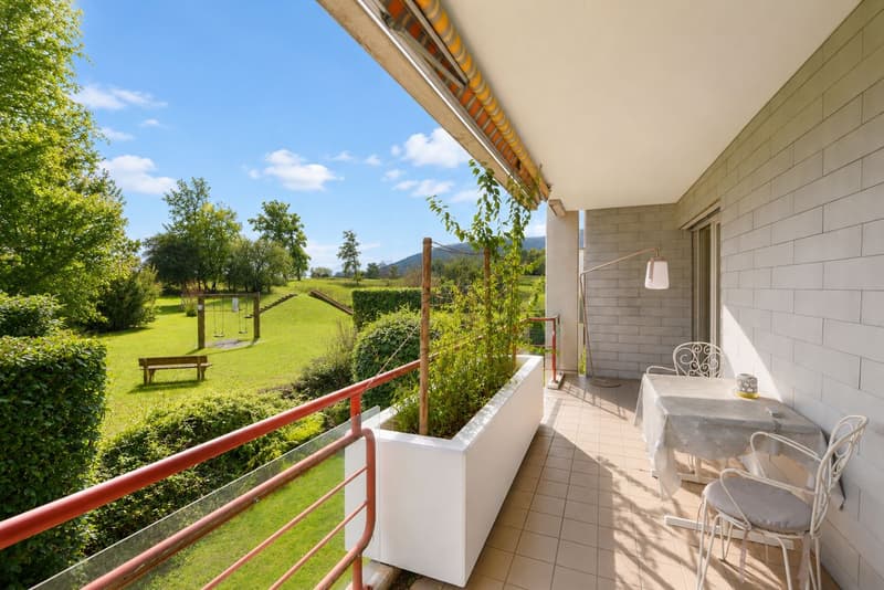 Appartement lumineux avec vue sur la verdure à Colombier (8)