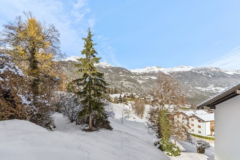 Appartement lumineux de 3.5 pièces avec terrasse et terrain privatif à Mollens (8)