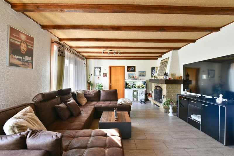 Lumineuse maison individuelle (7)