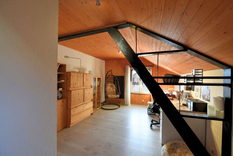 Lumineuse maison individuelle (10)