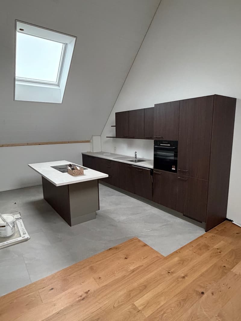 Lumineux duplex haut de gamme (4)