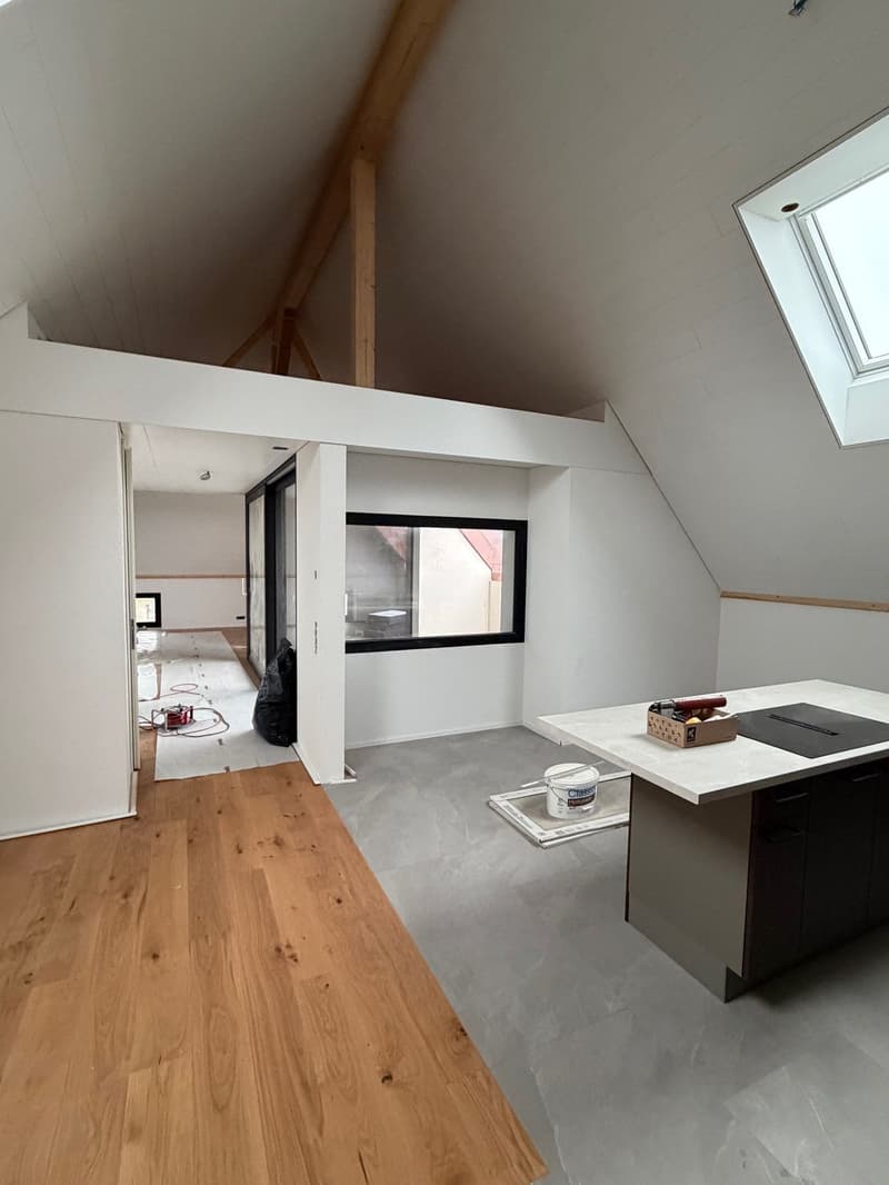 Lumineux duplex haut de gamme (5)