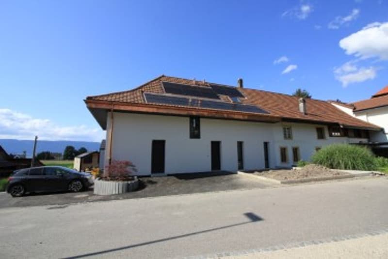 Lumineux duplex haut de gamme (3)