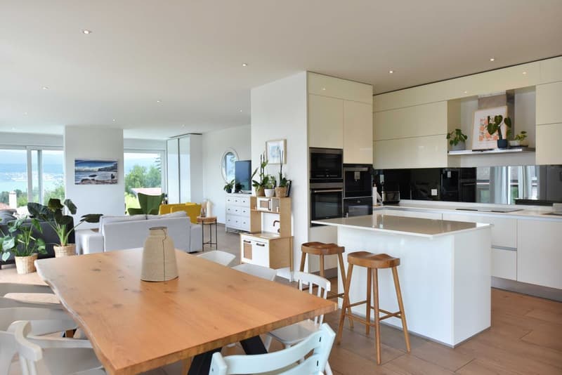 Villa contemporaine avec piscine et vue lac (2)