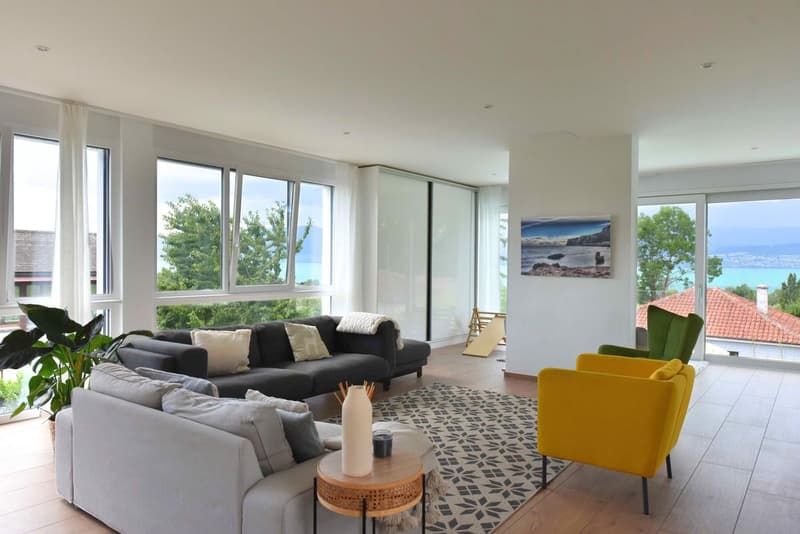 Villa contemporaine avec piscine et vue lac (3)