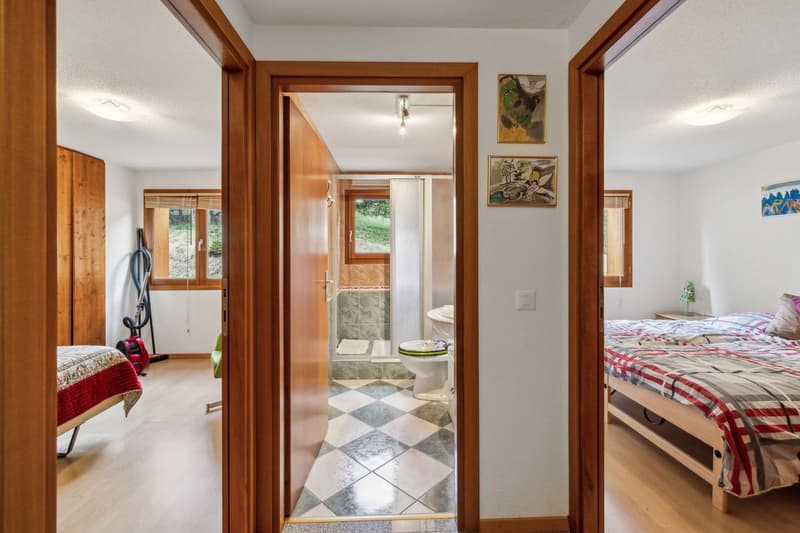 Appartement traversant de 5 pièces avec vue Alpes (3)