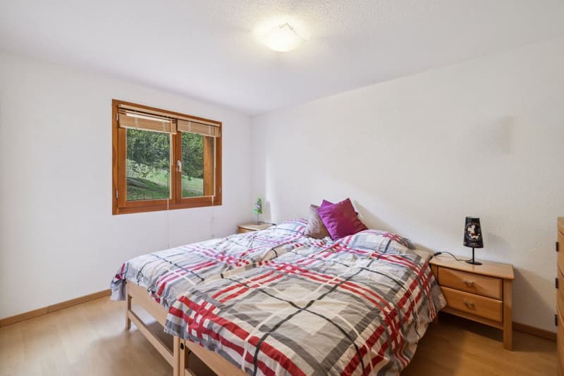 Appartement traversant de 5 pièces avec vue Alpes (4)