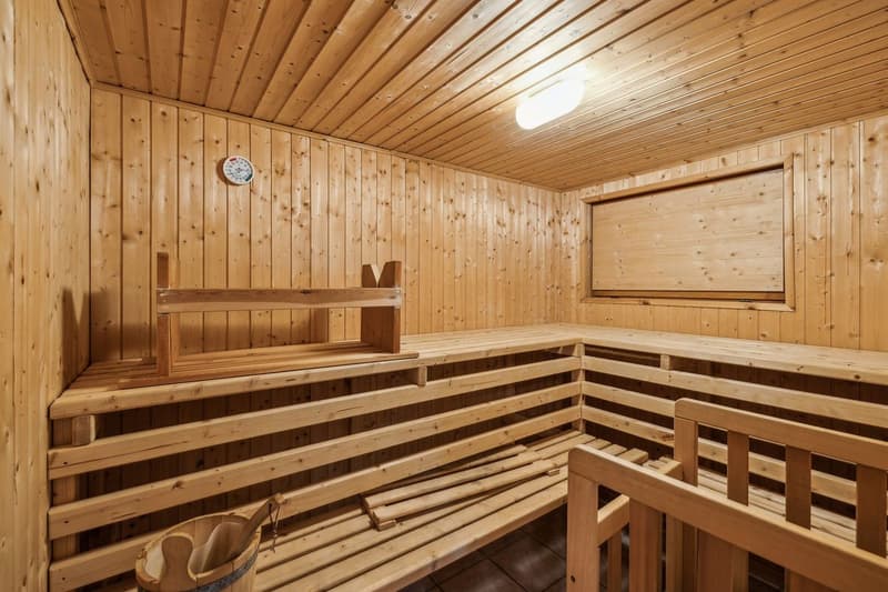 Appartement traversant de 5 pièces avec vue Alpes (7)