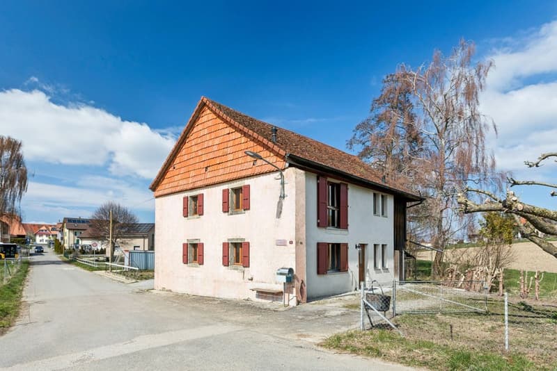 Appartement 4 pièces avec grand jardin à la campagne (7)