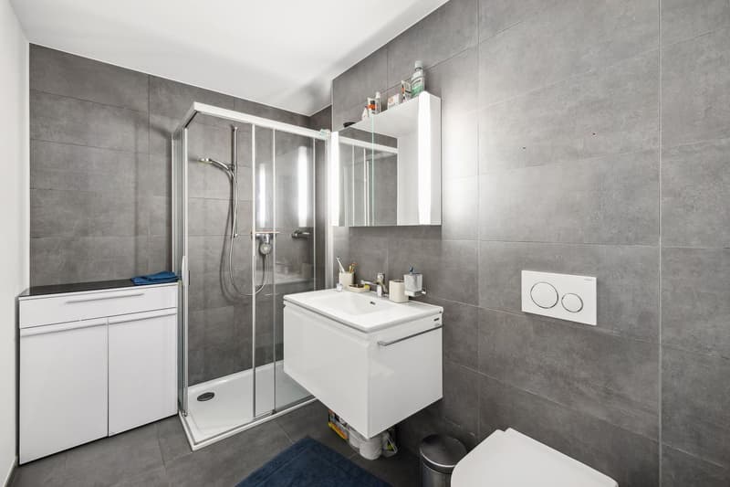 Opportunité d'investissement - Appartement de 3,5 pièces dans un quartier neuf (5)