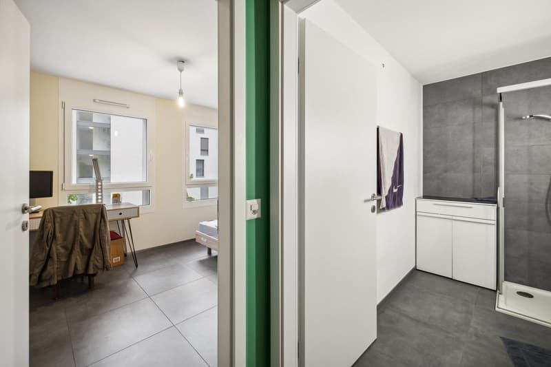 Opportunité d'investissement - Appartement de 3,5 pièces dans un quartier neuf (4)