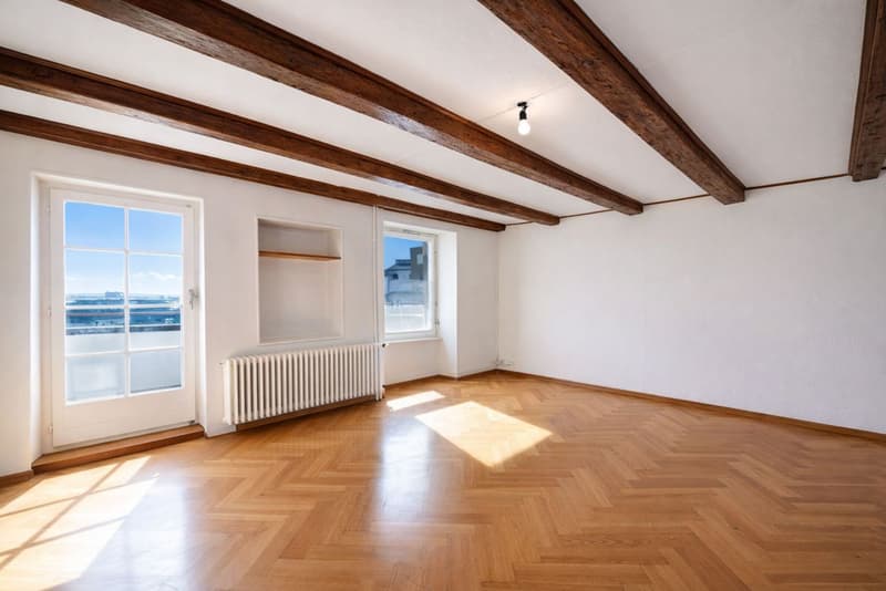 Orbe - Propriété unique avec deux habitations et fort potentiel (7)