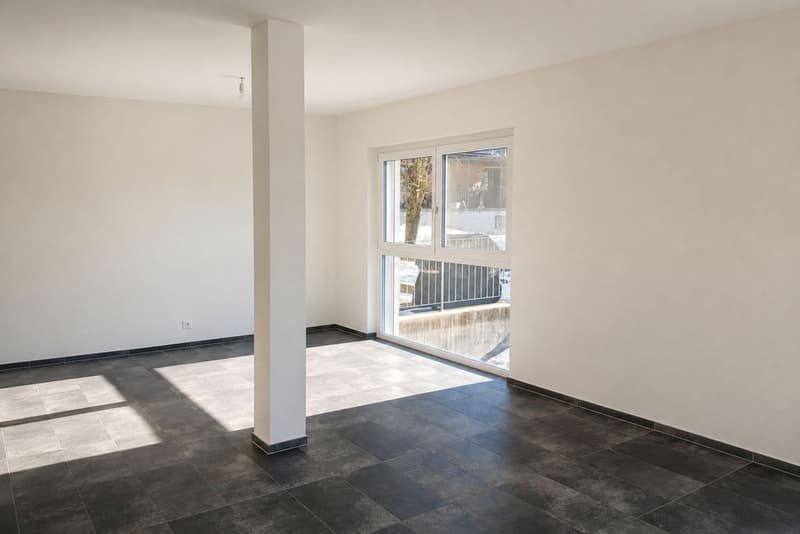 Élégant appartement à Botterens avec vue panoramique (3)