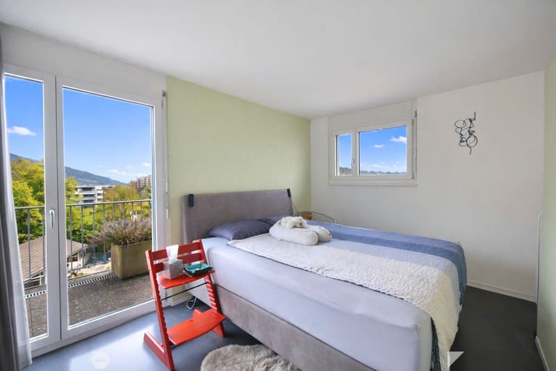 Eblouissant loft en attique (7)