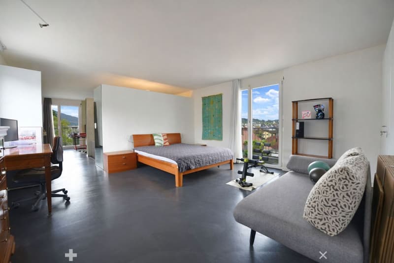 Eblouissant loft en attique (5)