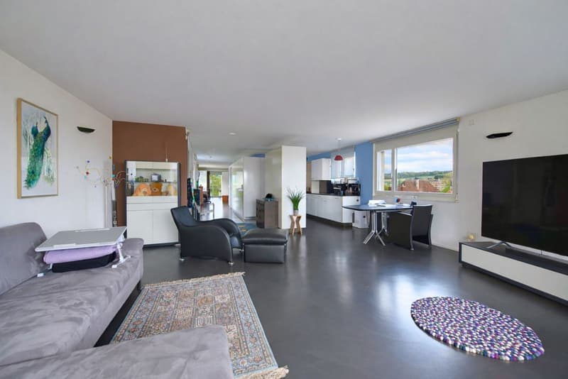 Eblouissant loft en attique (3)