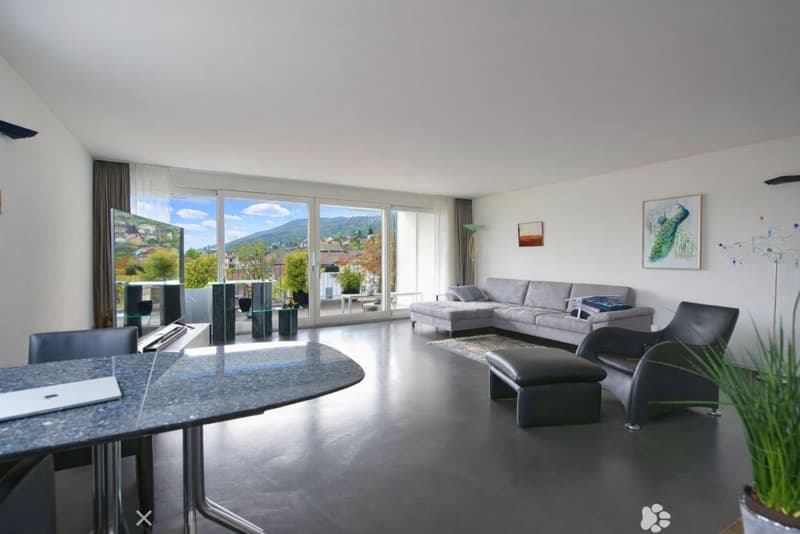 Eblouissant loft en attique (2)
