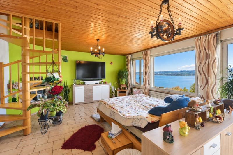Maison mitoyenne dans un cadre privilégié à Vallamand (5)