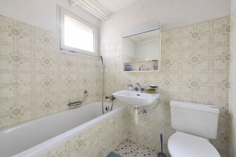 Maison sur vaste parcelle de 1'303 m² - Fort potentiel de développement (8)