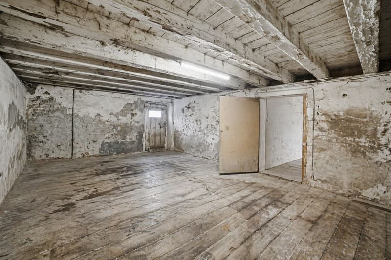 Grange à rénover avec de beaux volumes et potentiel de transformation en plusieurs appartements (3)