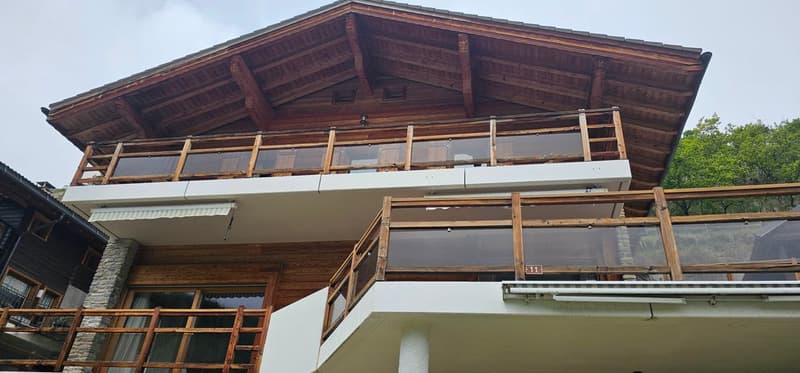 Chalet d'exception avec espace bien-être et vue panoramique (3)