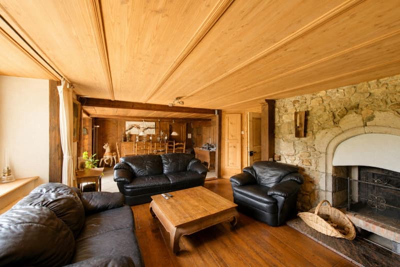 Ferme authentique du 18ème siècle avec vue panoramique (6)