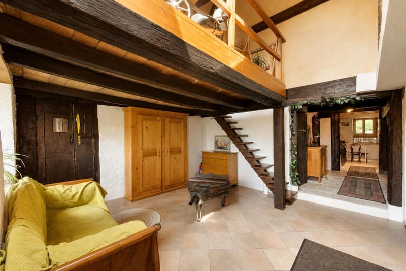 Ferme authentique du 18ème siècle avec vue panoramique (4)