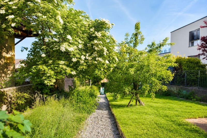 Appartement de 4.5 pièces avec terrasse, jardin privatif et vue sur le lac (8)