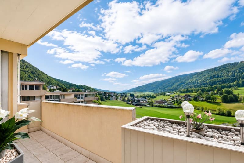 Attique lumineux avec balcon et vue verdure (10)