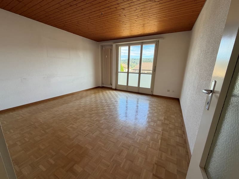 Lumineux appartement à rénover (1)