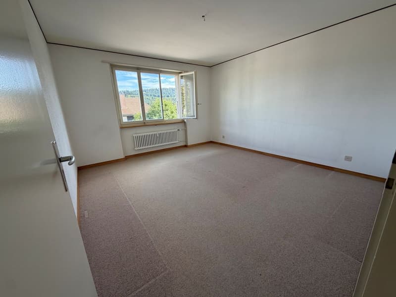 Lumineux appartement à rénover (6)