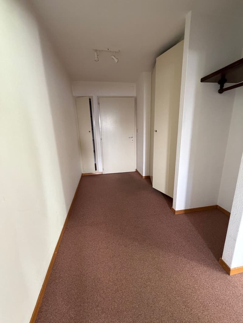 Lumineux appartement à rénover (4)