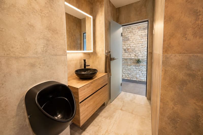 Luxueux appartement baigné de lumière (8)