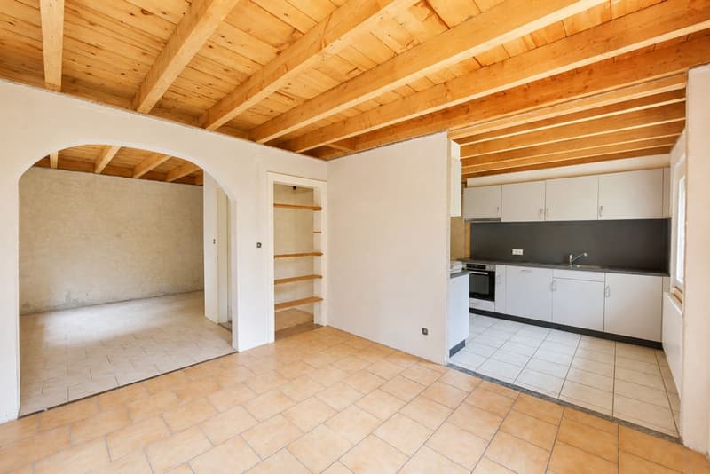 Maison à rénover avec beau potentiel à L'Abbaye (1)