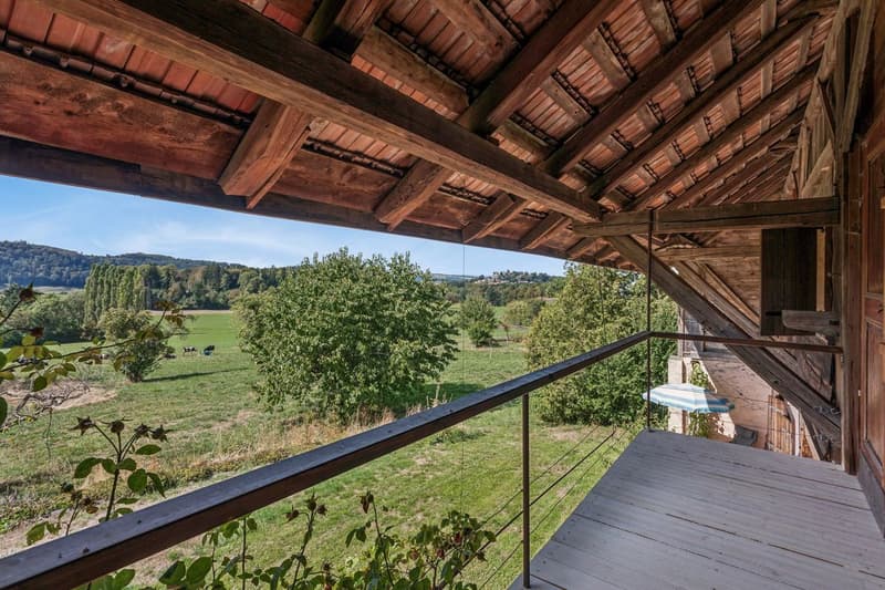 Ferme de caractère de 10.5 pièces avec grand terrain et fort potentiel (2)