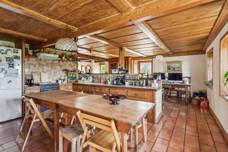Ferme de caractère de 10.5 pièces avec grand terrain et fort potentiel (4)