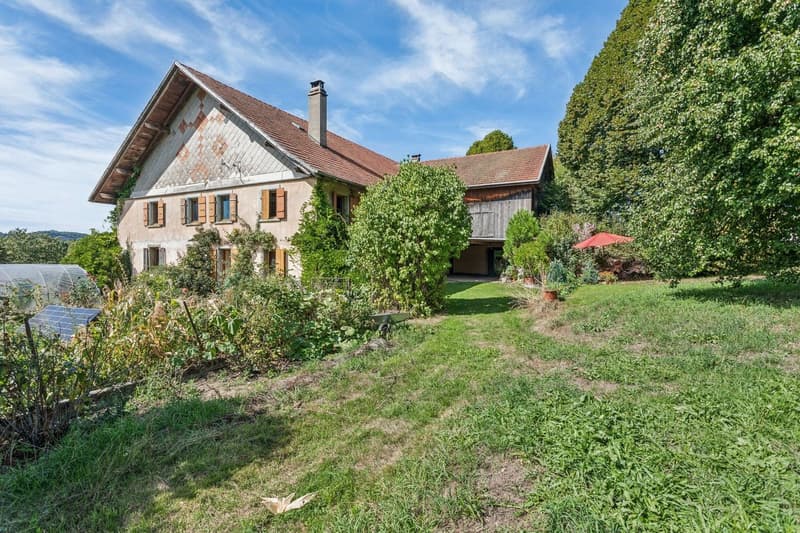 Ferme de caractère de 10.5 pièces avec grand terrain et fort potentiel (1)