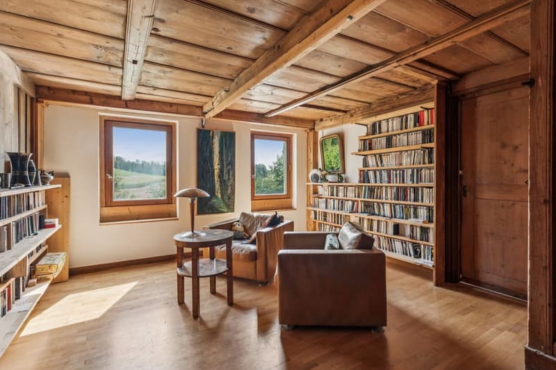 Ferme de caractère de 10.5 pièces avec grand terrain et fort potentiel (5)