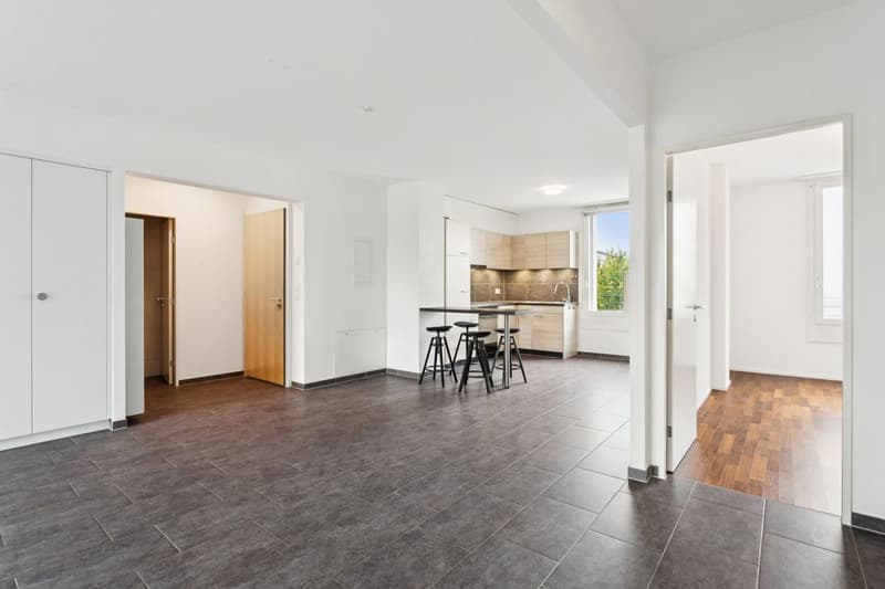 Appartement lumineux de 3,5 pièces avec loggia (1)